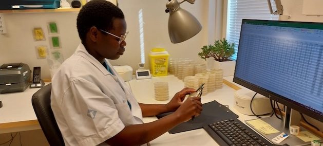 Lab-manager-Linnet-Ochieng-doing-AMR-testing-at-the-International-Livestock-Research-Institute-credit-ILRI-629x284.jpeg